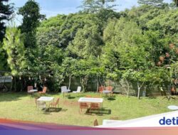 5 Coffee Shop Di Ciumbuleuit Bandung yang Cozy Buat Nongkrong