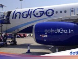 Harga Tiket Pesawat IndiGo ‘Terbang’ Sebab Kekacauan, Bangsa Turun Tangan