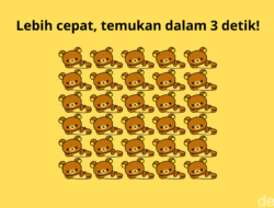 Cari Objek yang Berbeda Di Gambar Ini, Sekilas Tampak Sama Semua