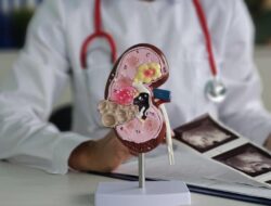 Daftar Konsumsi Terbaik Sebagai Kesejajaran Ginjal, Ada Sering Dikonsumsi Orang RI