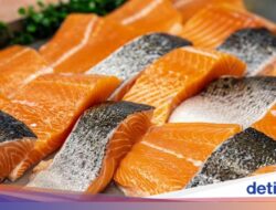 5 Beda Ikan Salmon dan Ikan Trout yang Sering Dikatakan Sama