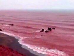 Warna Laut Teluk Persia Berubah Dari Sebab Itu Merah Darah