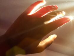 Ilmuwan Klaim Sinar Untuk Tubuh Manusia Menghilang ketika Sudah Mati