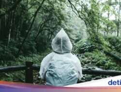 Mau Liburan Pada Musim Hujan, Simak Tips Berikut!
