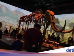 Ini Kalangan yang Bisa Akses Gratis Museum Nasional