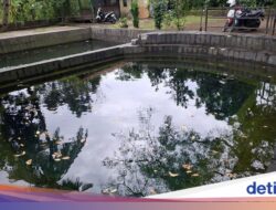 Berusia 500 Tahun, Melambangkan Seorang Wanita Agung