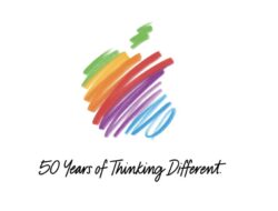 Surat Emosional Regu Cook dan Rahasia Bertahan Ke Industri yang Kejam