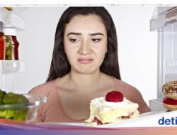 Kulkas Bisa Di Sebab Itu Sumber Gangguan, Ini 3 Kegagalan yang Harus Dihindari