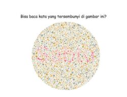 Ketajaman Mata Dibutuhkan, Selesaikan Tes Buta Warna Ini Untuk 30 Detik