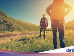 2 Pendaki Gunung Dako Hilang Ditinggal Teman Hingga Puncak, Beruntung Bisa Selamat