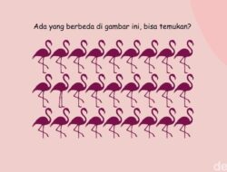 Uji Ketajaman Mata dan Fokus Lewat Teka-teki Gambar, Selesaikan Untuk 5 Detik!