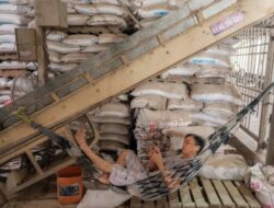 Dampak Pertempuran Iran, Harga Beras Asia Cetak Pencapaian Tertinggi Untuk Dua Tahun