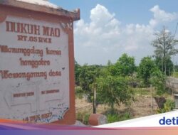Namanya Cuma 3 Huruf-Artinya Harimau 