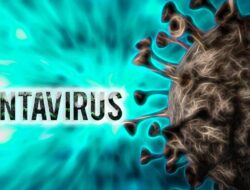Hantavirus Tak Menular Semudah COVID-19