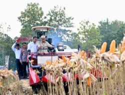 Momen Prabowo Panen Raya Jagung Ke Tuban, Naiki Alat Berat hingga Pakai Tutup Koboi