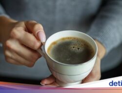 Tak Cuma Bikin Melek, Minum Minuman Ternyata Baik Untuk Otak dan Usus