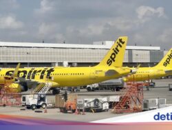 Maskapai Bangkrut Mendadak, Penumpang Terdampar Tanpa Kepastian