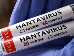 Waspada Hantavirus, Kenali Tanda, Penularan, dan Cara Mencegahnya