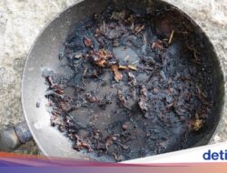 Auto Kinclong! 4 Tips Menghilangkan Kerak Panci Gosong Di Ahli