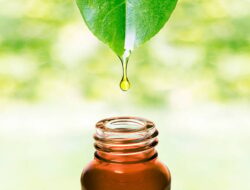 Industri Herbal Andalkan Figur Publik Perkuat Kepercayaan Konsumen