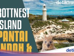 Rottnest Island, Tempattinggal Quokka, Punya Pantai dan Mercusuar Ikonik Di Australia Barat