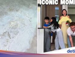 Tinggalkan Nanas 3 Hari Ke Tempattinggal Mutakhir, Keluarga Ini Malah Kena Apes