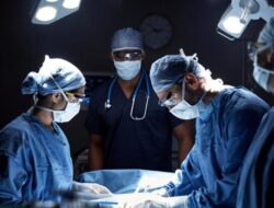 Di Ginjal hingga Paru, Ini Organ Babi yang Pernah Didonor Di Manusia