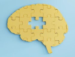 Terobosan Mutakhir! Ilmuwan Temukan Cara Bantu Perawatan Otak usai Stroke