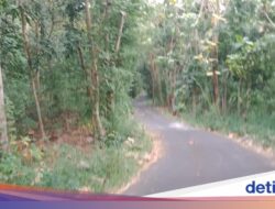 Kesaksian Warga Kampung Mati Di Sleman, Kini Seperti Hutan Angker