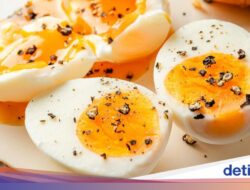 Jumlah Kalori Telur Rebus, Dadar, dan Setengah Matang, Mana Paling Rendah?