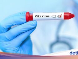 AS Terbitkan Travel Warning Ke Bali gegara Mikroba Zika, Dinkes: Belum Ada Tindak Kejahatan