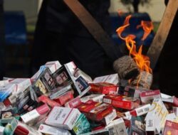Cegah Kebocoran Fiskal, Ekonom Dorong Penindakan Rokok Ilegal