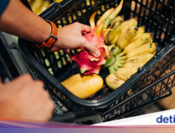 Inilah Alasan Konsumsi Buah Lebih baik Untuk Camilan Kemasan