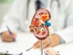 Benarkah Pola Makan Tinggi Protein Bisa Bikin Ginjal Bekerja Lebih Keras? Praktisi Medis Bilang Gini