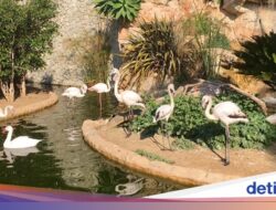 Bangsa Ini Cuma Punya 1 Kebun Binatang, tapi Semua Satwa Tidak Dibeli