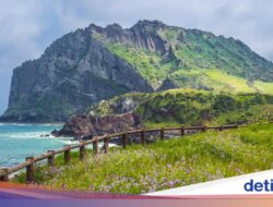Jumlah Wisatawan Di Jeju Menurun Sesudah Marak Rumor Pulau Horor-Orang Hilang