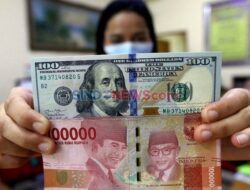Uang Negara Indonesia Semringah Sambut Akhir Pekan, Hari Ini Ditutup Menguat Hingga Rp17.693 per Nilai Mata Uang Amerika AS