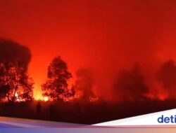 Kebakaran Hingga Taman Nasional Way Kambas Capai 673,4 Hektare