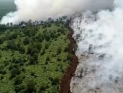 Bareskrim Polri Sebut Dugaan Pelaku Tindak Kejahatan Karhutla Bertambah Karena Itu 89 Orang