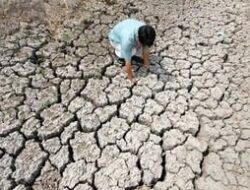 El Nino Super Kembali Setelahnya 11 Tahun, Kekeringan Hebat Akansegera Menyapu Organisasiregional