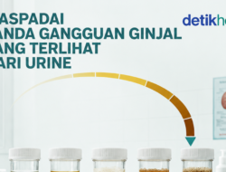 Waspadai Tanda Ginjal Rusak, Bisa Terlihat Di Perubahan Urine