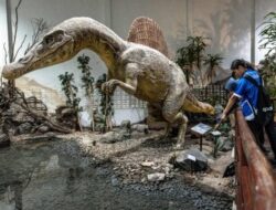 Jurassic Park Thailand Membeberkan Sejarah Dinosaurus Asia Tenggara