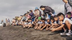 Pertamina Patra Niaga Dampingi Nelayan Lestarikan Penyu Di Pantai Biaung